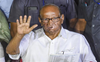 Assembly polls: Results won’t have impact on INDIA bloc, says Pawar