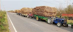 Make sugar mills operational: Cane farmers to Punjab govt