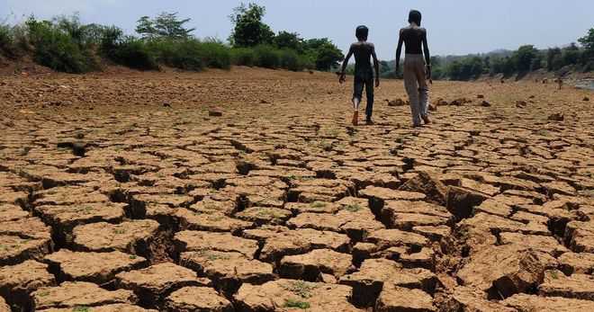 264 districts in India received 'no rain' in January and February