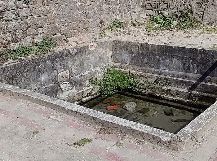 300-yr-old Kangra water source declared non-potable
