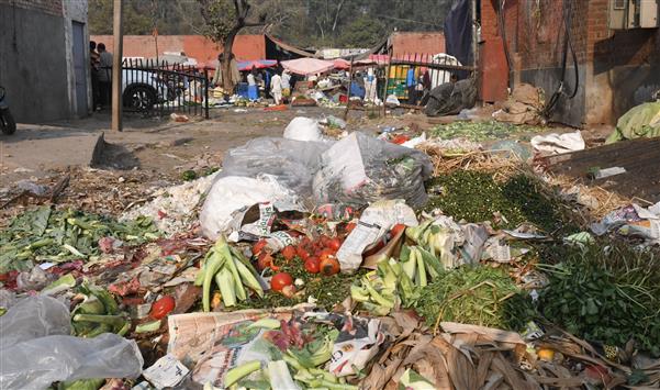 Non-compliance of solid waste management norms: Rs 10-lakh fine slapped on 8 establishments in Chandigarh