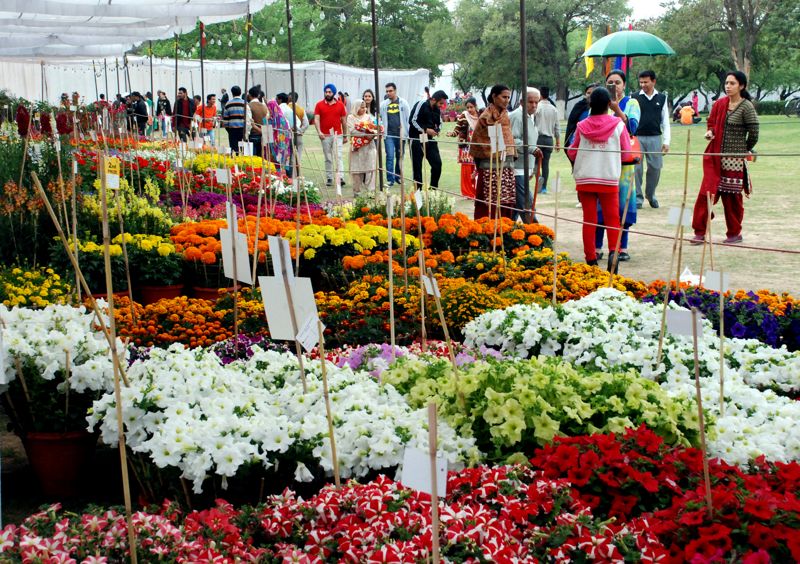 After 3year hiatus, Spring Festival at Panchkula park on March 45