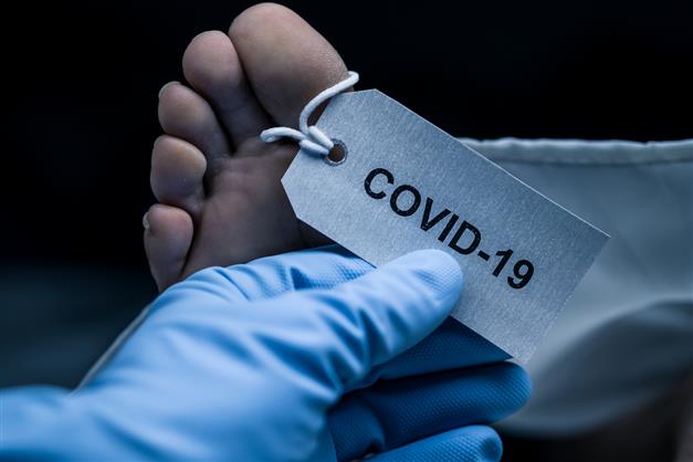 Why Covid-19 kills more men than women decoded