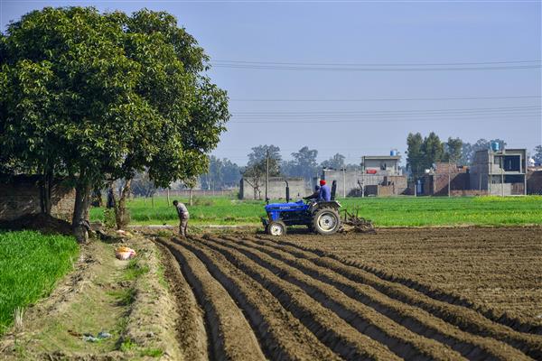 Union Budget 2023-24: Outlay pruned, agriculture gets raw deal