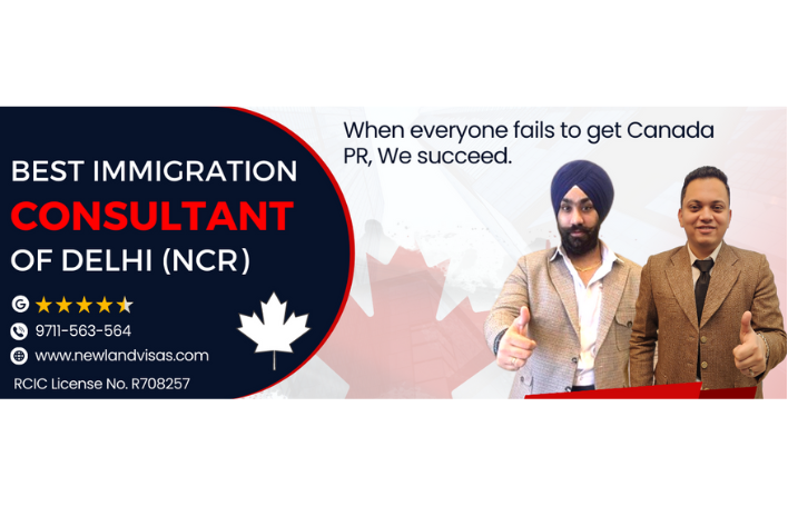 “Best Immigration Consultant In NCR Delhi 2023: New Land Visas”