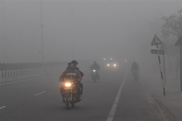 Fog brings cheer to Punjab farmers