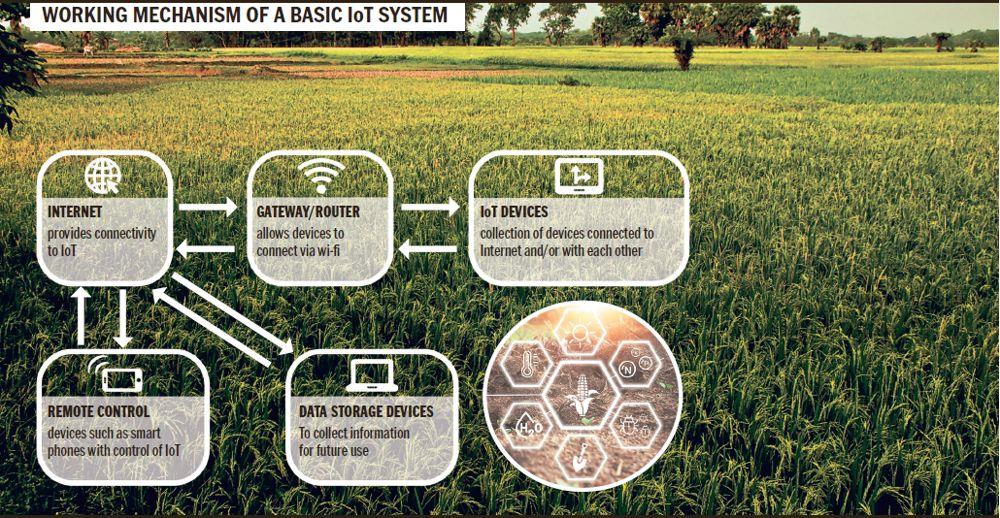 Internet of Things can turn the tide in the fields