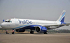 IndiGo flight diverted after suspected bird-hit