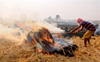 Punjab aims to reduce stubble-burning incidents by 50 per cent
