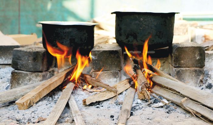 Over 41% rural households in Haryana still rely on firewood: NSSO