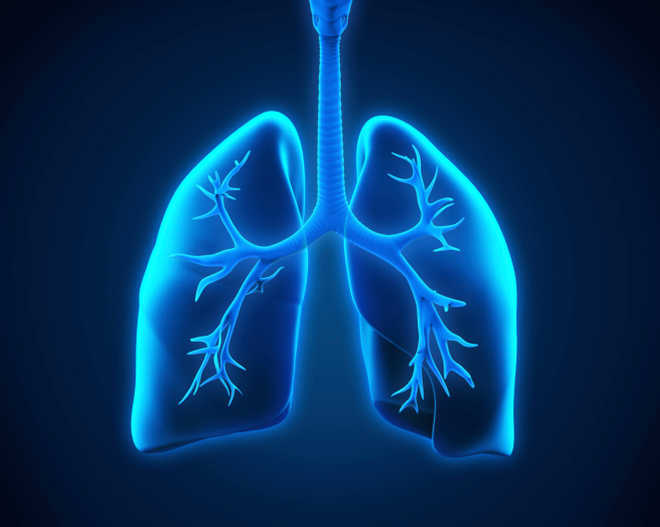 Childhood pneumonia linked with higher death risk from respiratory infection as adult: Lancet study