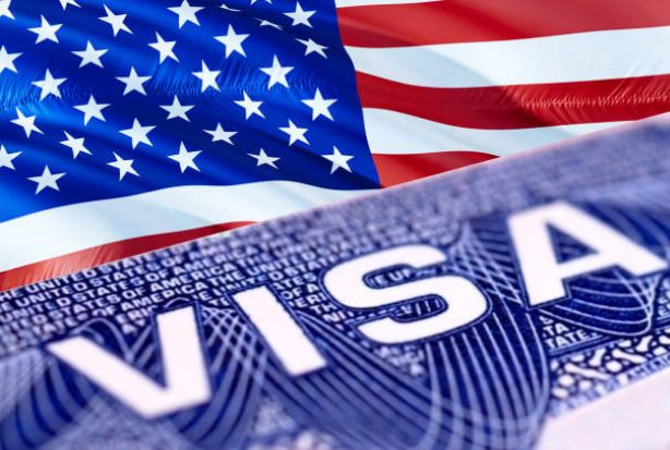 Wait time for US visitor's visa interview in India cut by 60 per cent this year, says official