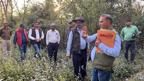 Supreme Court committee to decide on felling of green trees in govt forests in Himachal