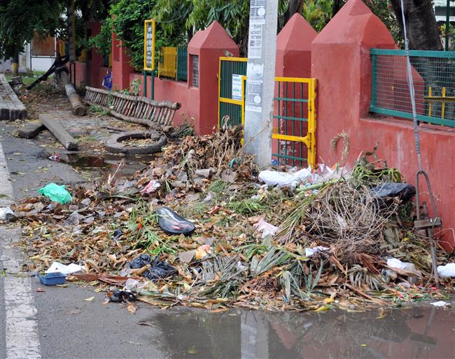 Irregular door-to-door garbage collection upsets city residents