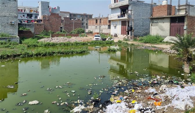 Residents continue to suffer as sewer overflows in parts of Sanyas Nagar