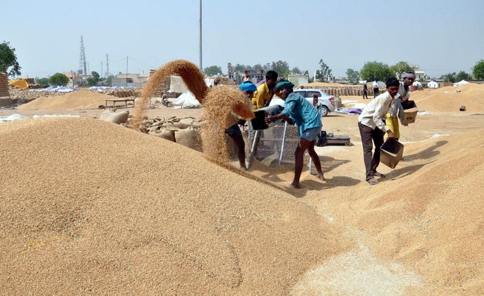 108 centres allotted for wheat procurement