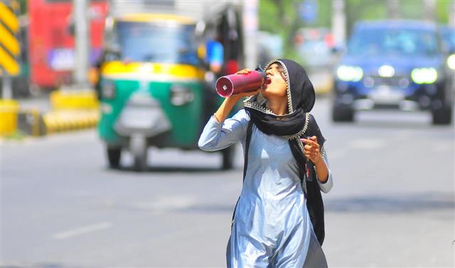 Delhi logs 34.1 degrees C, hottest day of season so far