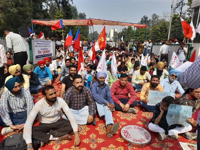 Punjabi University students, faculty protest; demand grants