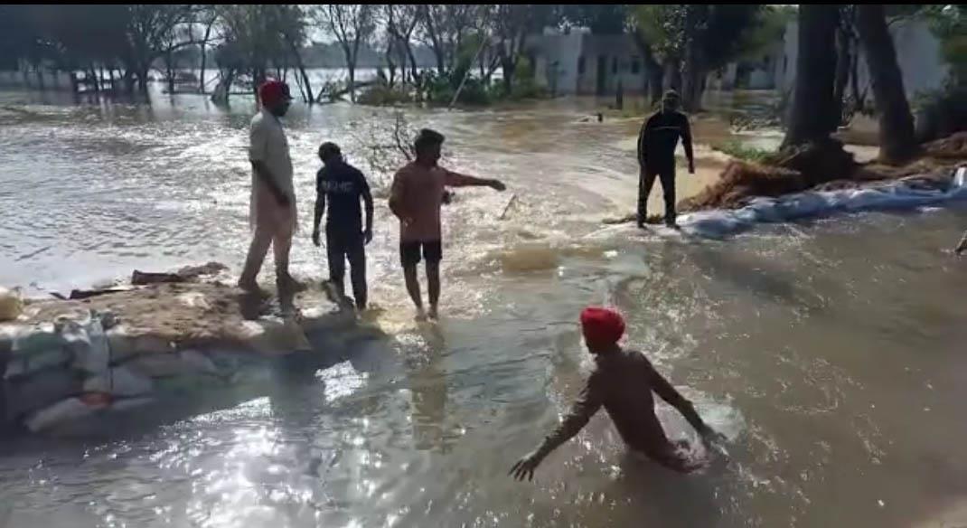 Sandoha canal breach leaves Talwandi Sabo village inundated