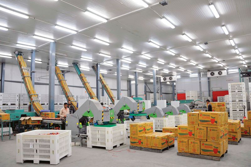 Cold chain infra key to minimising food loss