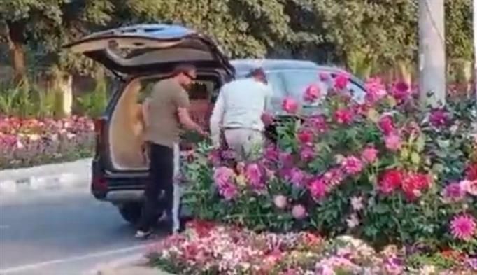 Video of men stealing flower pots in Gurugram goes viral, FIR registered