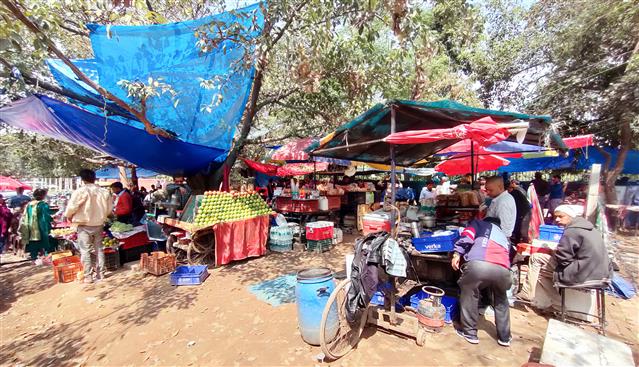 Vendors thrive near PGI gate in Chandigarh