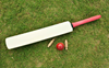 8-wicket victory for Chandigarh