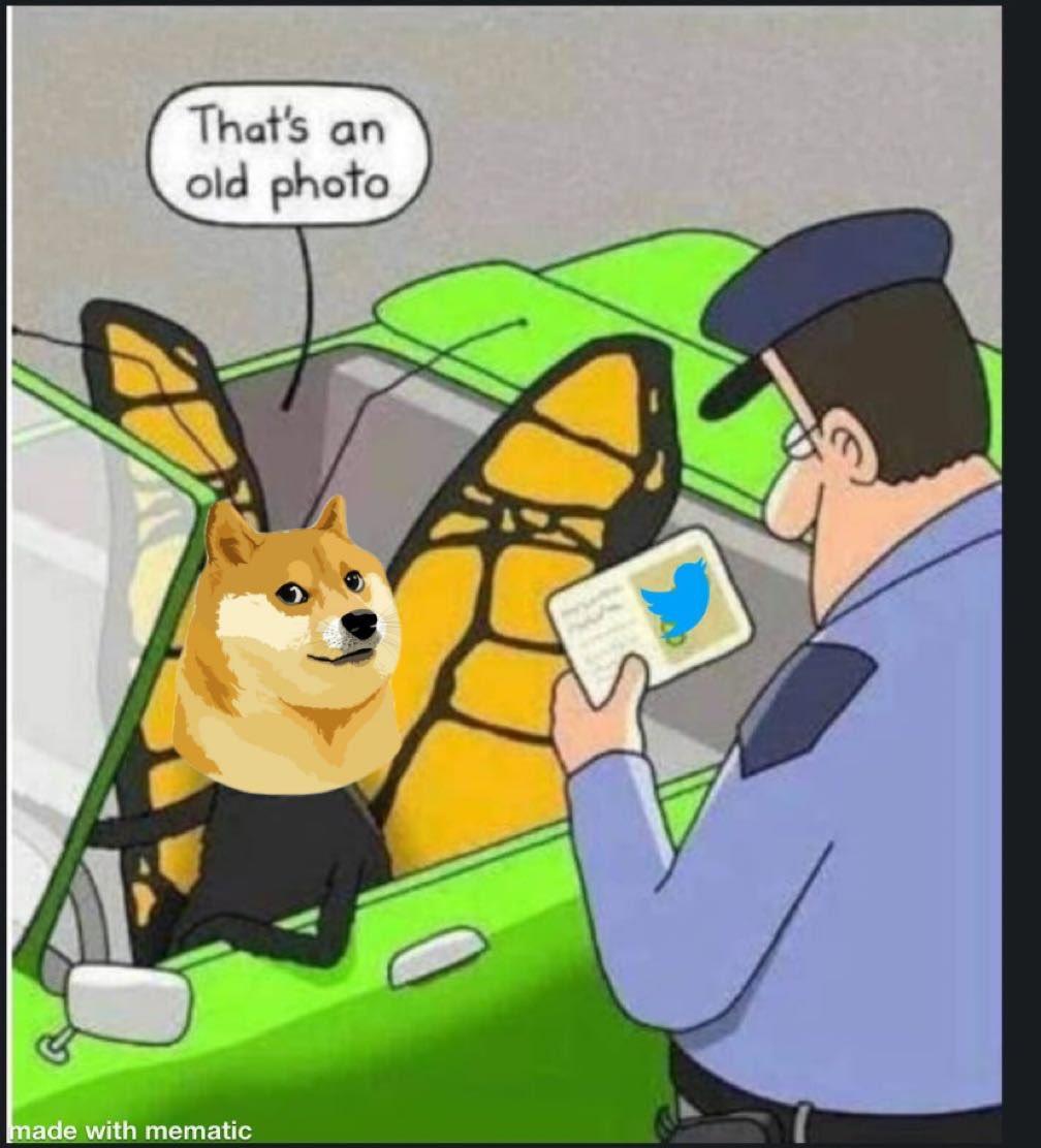 Elon Musk changes Twitter’s blue bird logo with ‘Doge’ meme