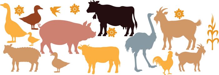 Focus on livestock sector for income growth