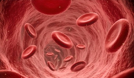 Two-component material designed to halt internal bleeding: Study