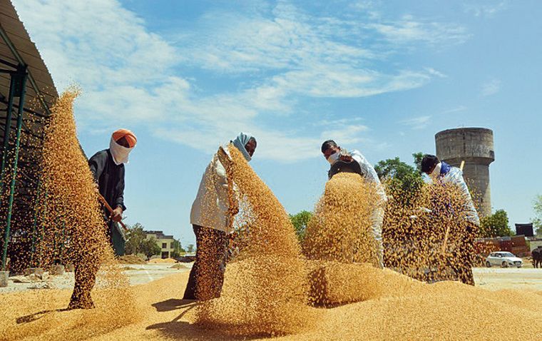 Punjab urges Centre to ease wheat purchase regulations