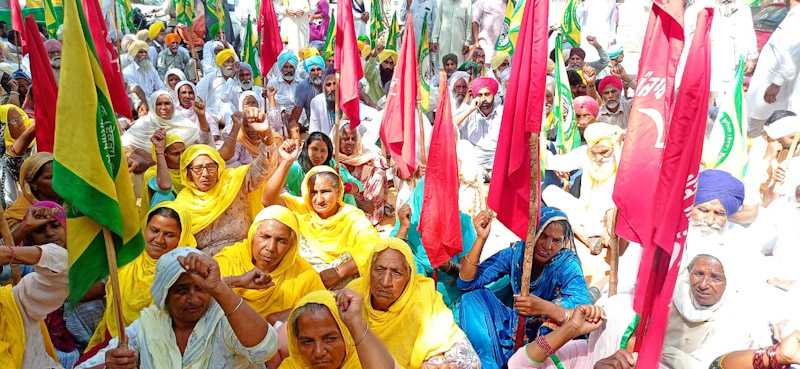 Expedite relief to farmers, BKU-Ugrahan urges Punjab Govt