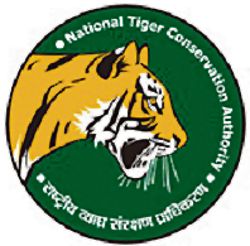 Hunting to saving, 50 years of Project Tiger