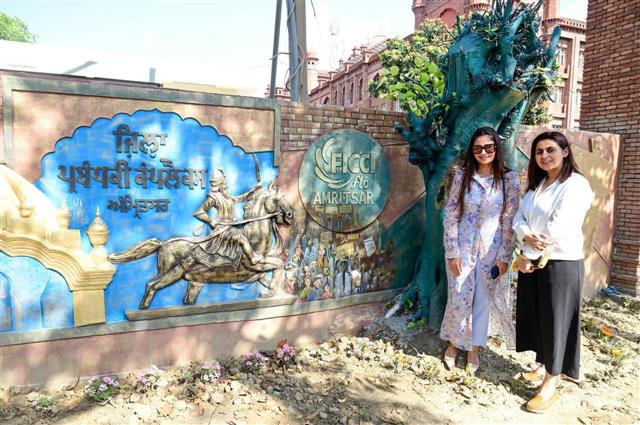 Murals, installations across Amritsar a reflection of Punjabi culture