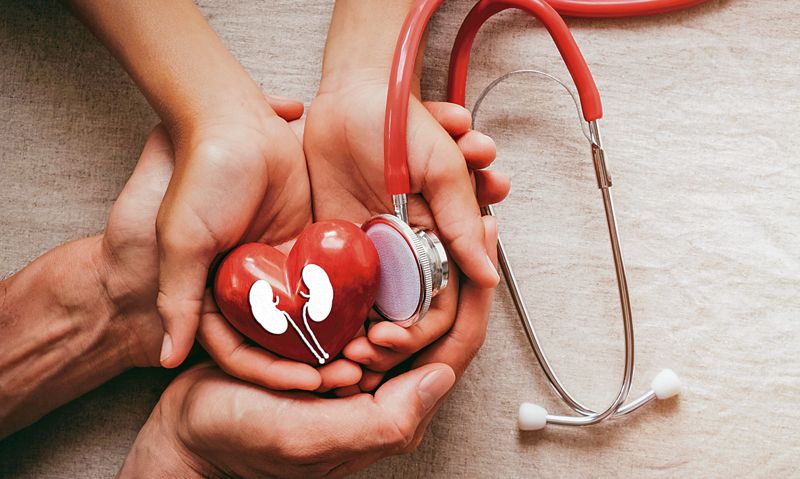 Centre to give 42-day special casual leave to its employees for organ donation