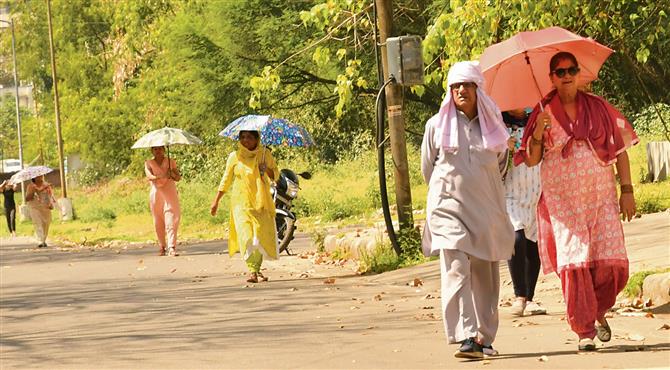 Chandigarh in grip of heat wave as mercury soars to 40 °C : The Tribune  India