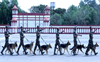6 wildlife protection dogs inducted into service