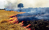 60 cases since April 15, farm fires back in Punjab