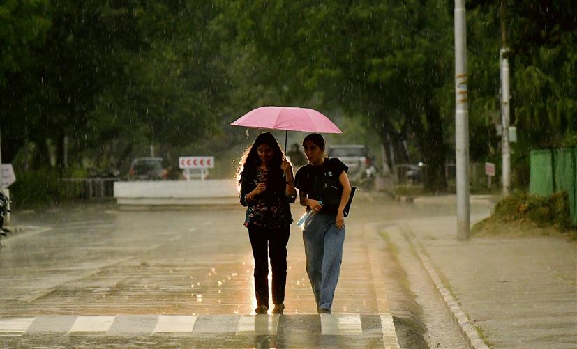 Chandigarh logs 27.9 mm rainfall, showers likely till June 1