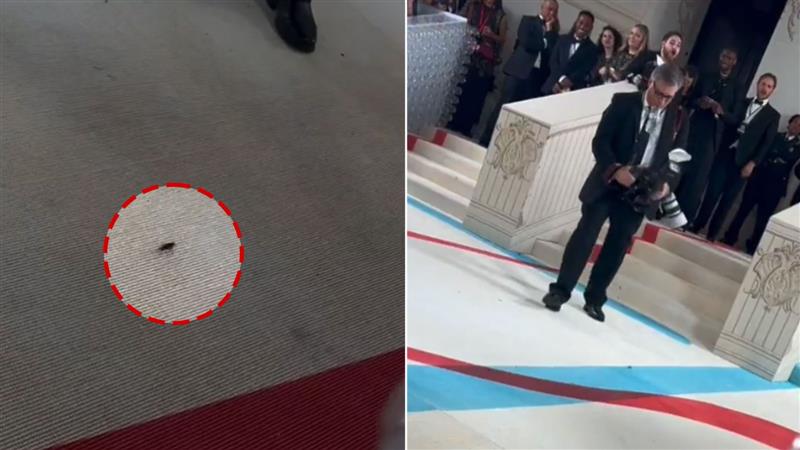 A cockroach reaches Met Gala red carpet, Twitter user calls it 'best dressed'