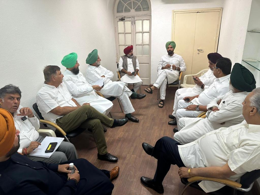 Don't back AAP on ordinance: Punjab Congress leaders to top brass