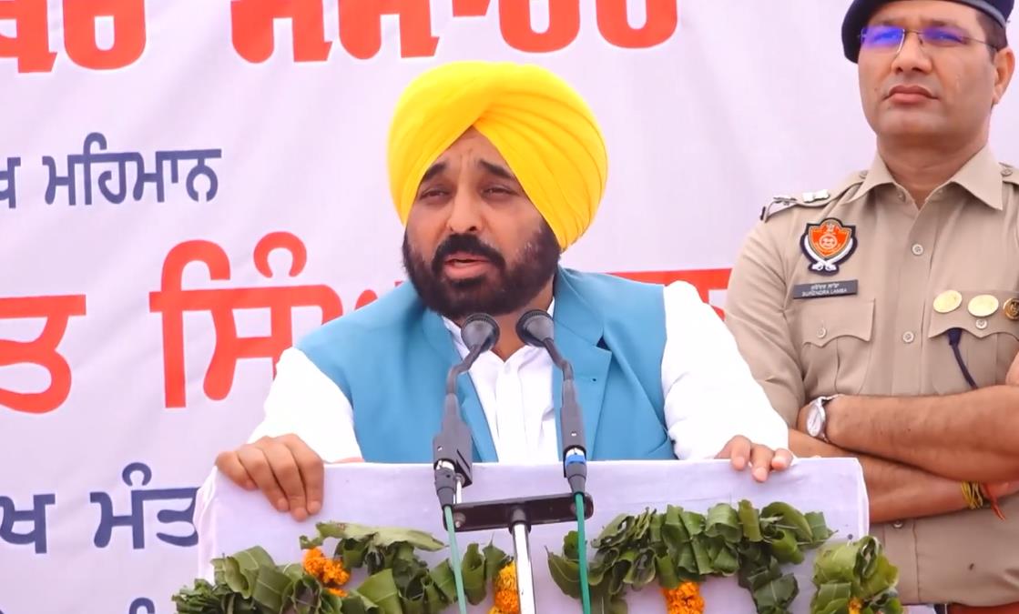 Bhagwant Mann claims Channi's nephew demanded Rs 2 crore from Punjab cricketer for govt job, ex-CM denies charge