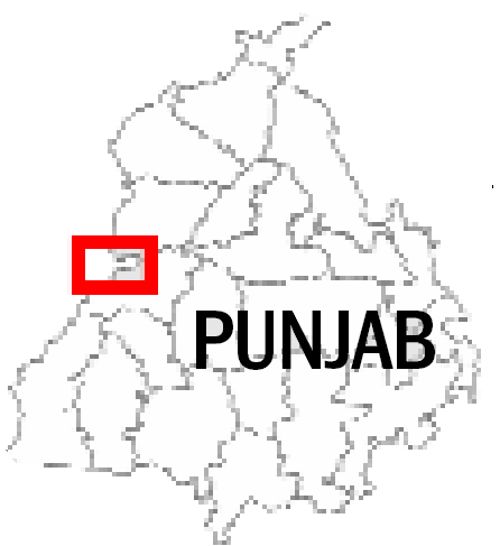 Polluted Sutlej poses health risk to villagers in Ferozepur, Fazilka ...