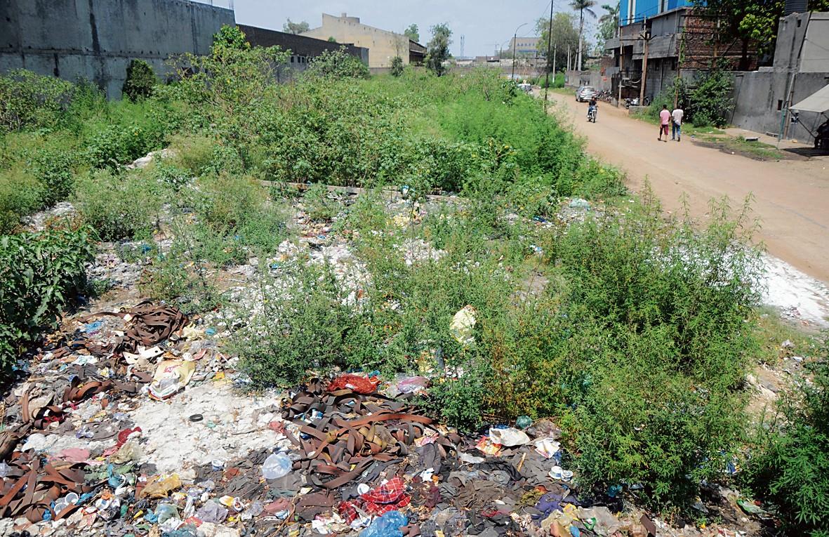 Parks in state of neglect at Focal Points