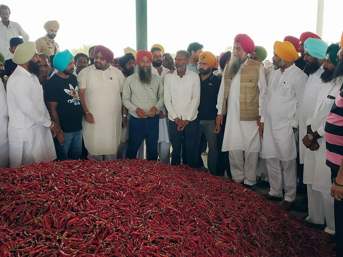 Punjab Speaker lauds collective efforts of chilli farmers in Ferozepur