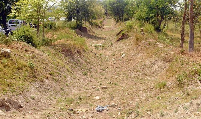 Stop waste water release into irrigation channels, says Amritsar DC