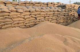 Kapurthala surpasses wheat purchase target by 20%