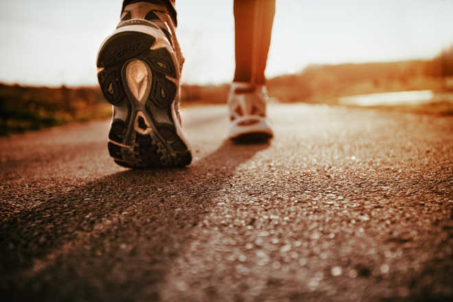 Walking improves brain connectivity, memory in older adults, finds study