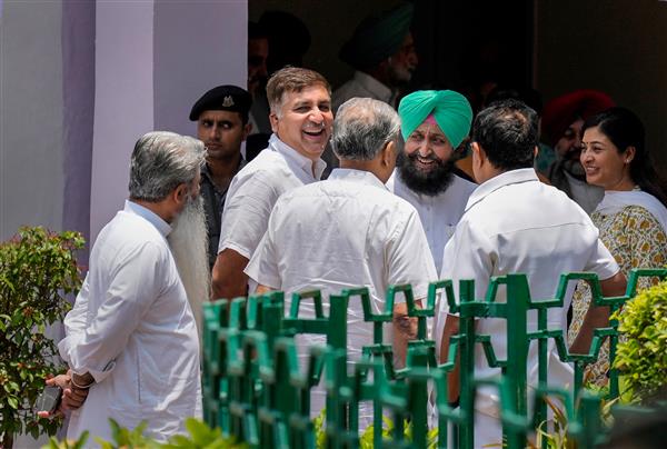 Delhi, Punjab Congress leaders meet Kharge, Rahul; indications may not support AAP on Ordinance issue