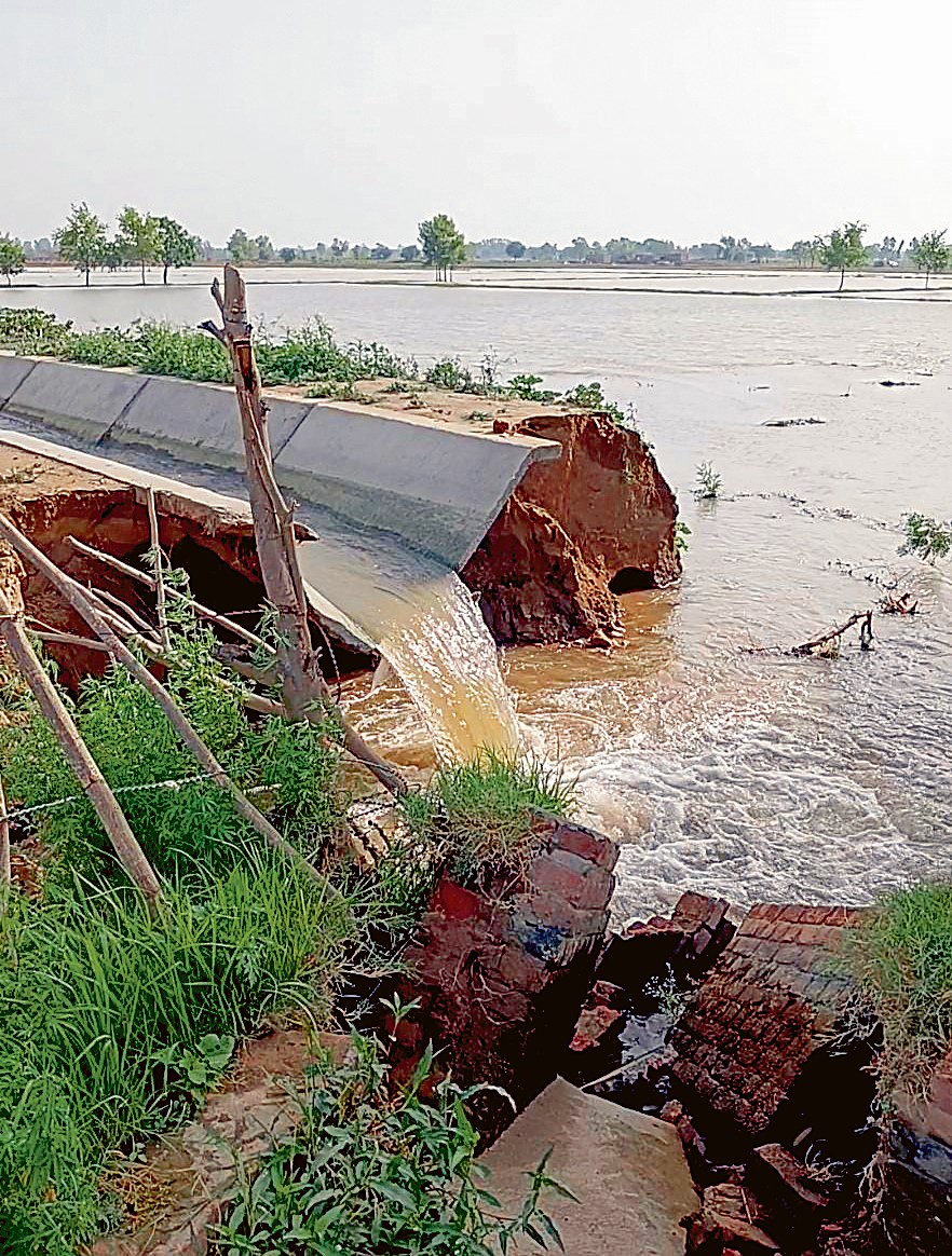 Sub-canals breached after rain in Abohar